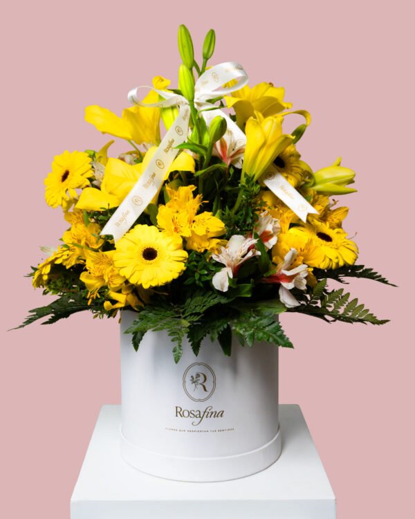 grande ecrin radiante